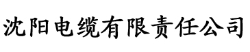 堕落天使咒电缆厂logo